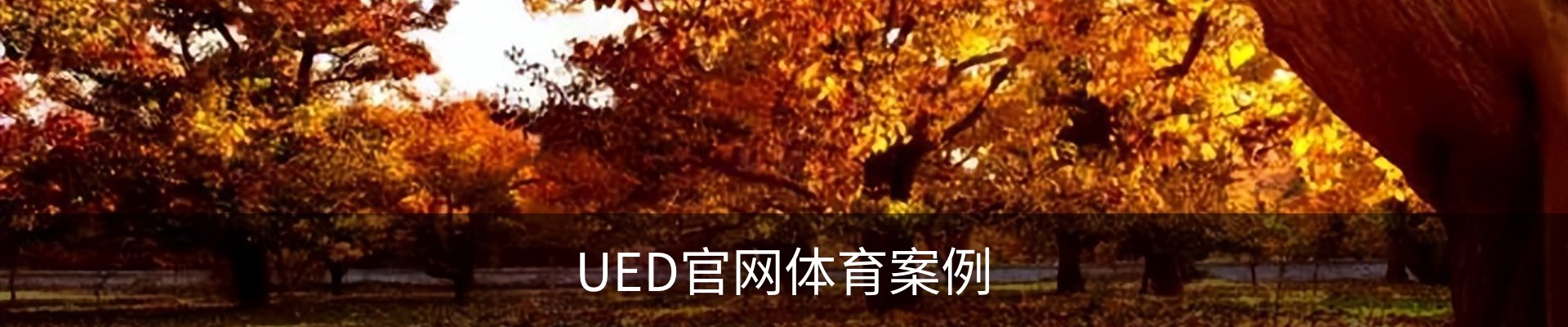 UED官网体育案例